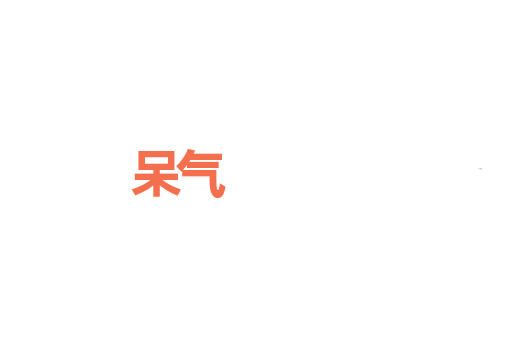 呆气